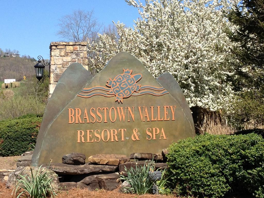 Brasstown Valley Resort & Spa Young Harris エクステリア 写真