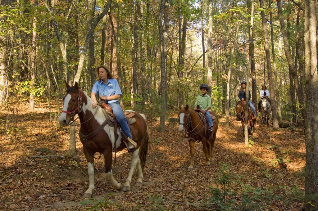 Brasstown Valley Resort & Spa Young Harris エクステリア 写真