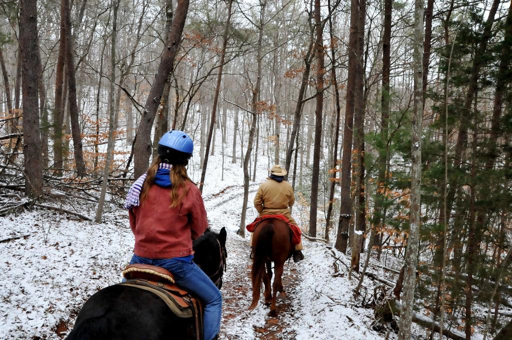 Brasstown Valley Resort & Spa Young Harris エクステリア 写真