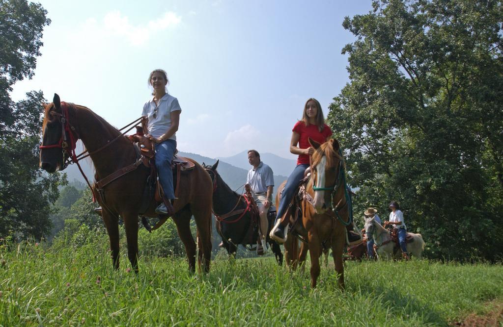 Brasstown Valley Resort & Spa Young Harris エクステリア 写真