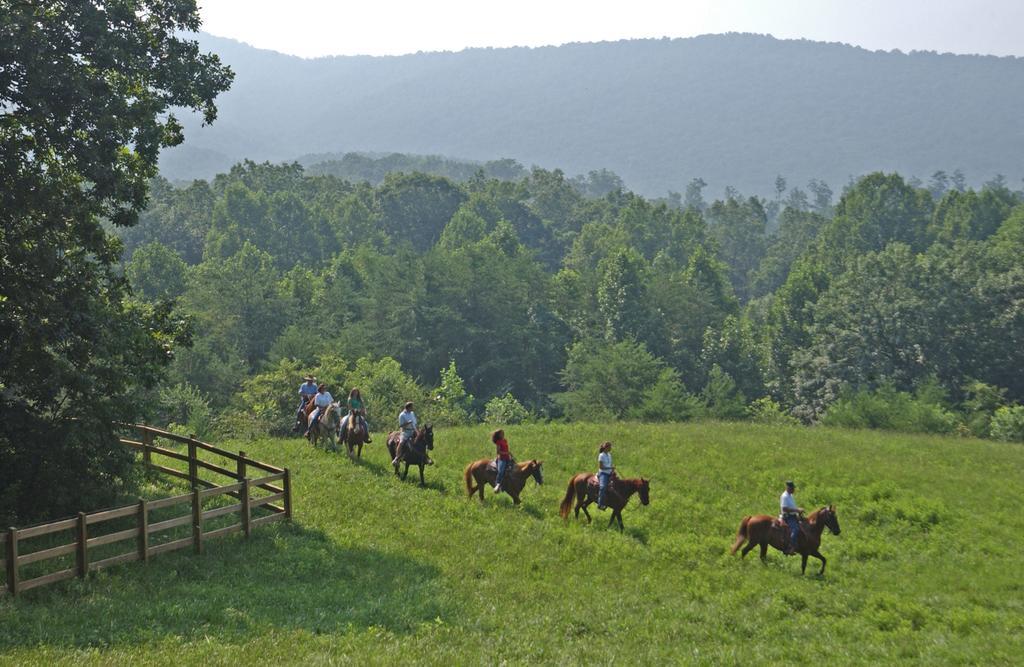 Brasstown Valley Resort & Spa Young Harris エクステリア 写真