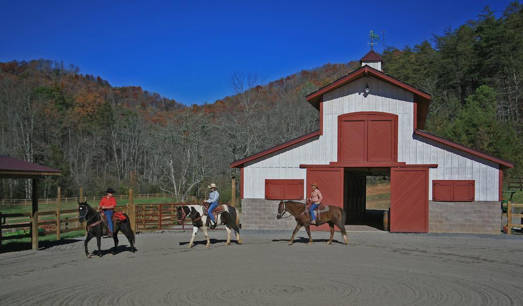 Brasstown Valley Resort & Spa Young Harris エクステリア 写真