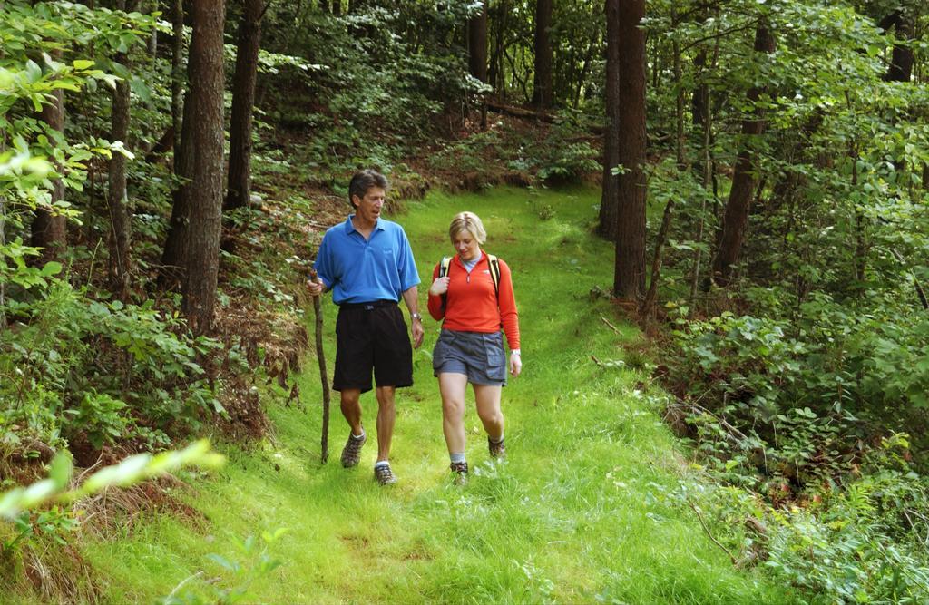 Brasstown Valley Resort & Spa Young Harris エクステリア 写真